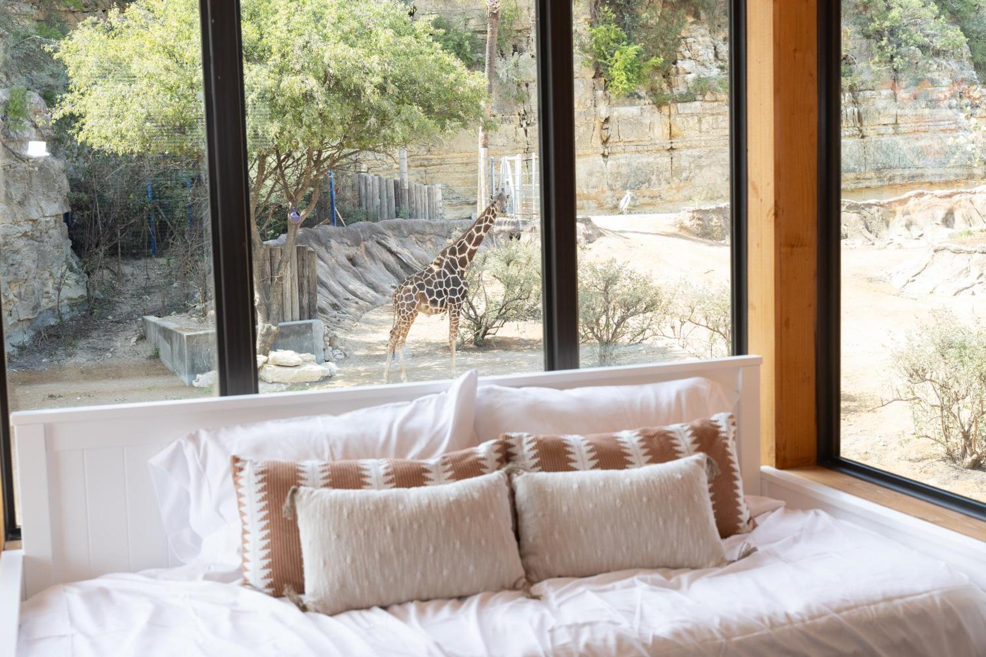 San Antonio Zoo - Spekboom Giraffe Lodge Exteriör bild