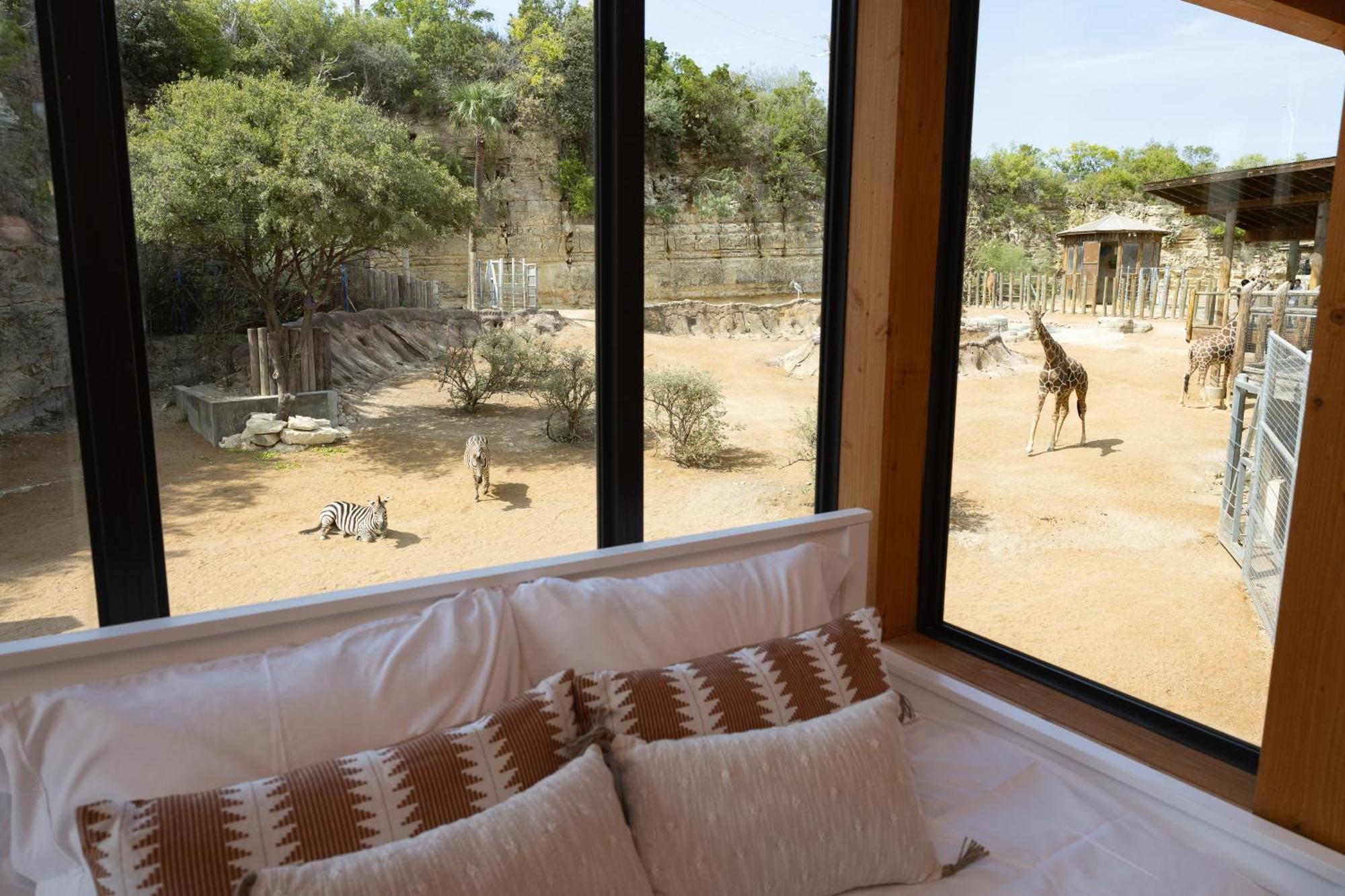 San Antonio Zoo - Spekboom Giraffe Lodge Exteriör bild